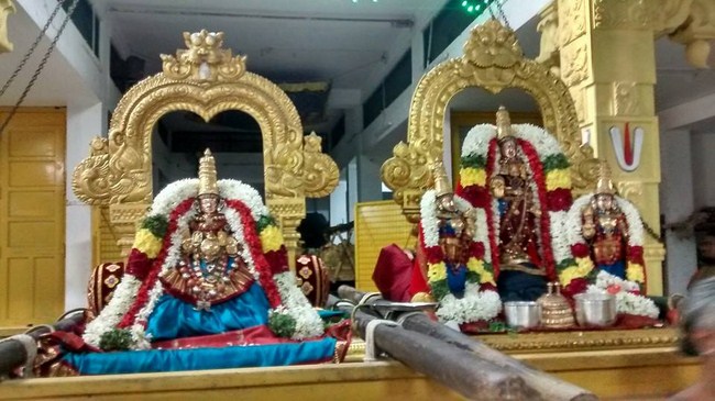 Mylapore SVDD Srinivasa Perumal Temple Ekadasi Purappadu20