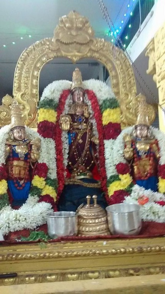 Mylapore SVDD Srinivasa Perumal Temple Ekadasi Purappadu6
