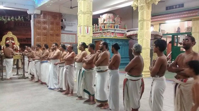 Mylapore SVDD Srinivasa Perumal Temple Karthikai Masa Pirappu Purappadu15