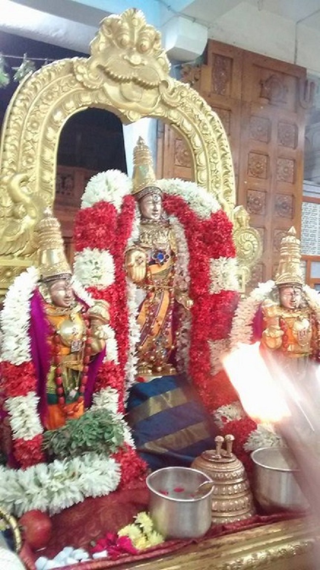 Mylapore SVDD Srinivasa Perumal Temple Karthikai Masa Pirappu Purappadu16