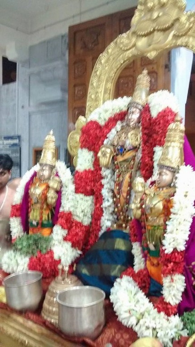 Mylapore SVDD Srinivasa Perumal Temple Karthikai Masa Pirappu Purappadu2