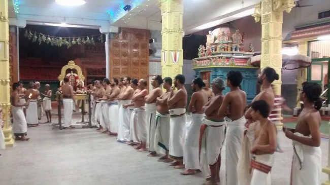 Mylapore SVDD Srinivasa Perumal Temple Karthikai Masa Pirappu Purappadu3