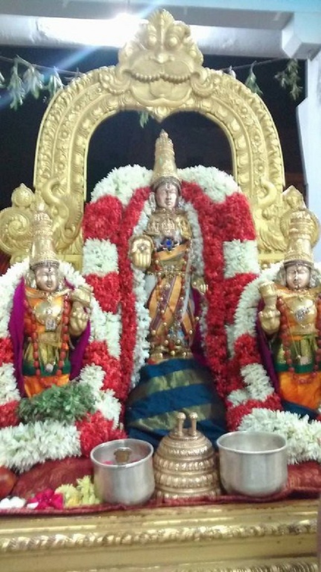 Mylapore SVDD Srinivasa Perumal Temple Karthikai Masa Pirappu Purappadu4