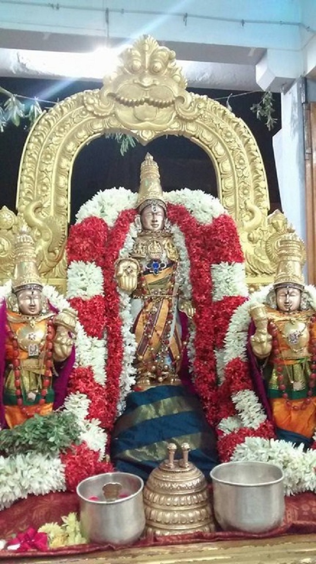 Mylapore SVDD Srinivasa Perumal Temple Karthikai Masa Pirappu Purappadu7