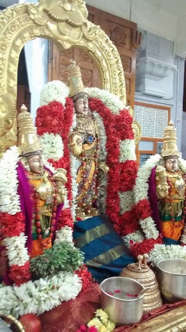 Mylapore SVDD Srinivasa Perumal Temple Karthikai Masa Pirappu Purappadu8