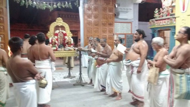 Mylapore SVDD Srinivasa Perumal Temple Karthikai Masa Pirappu Purappadu9