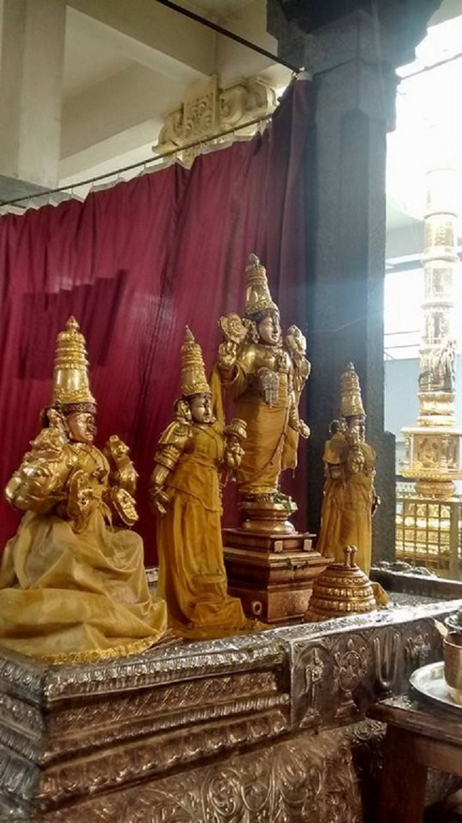 Mylapore SVDD Srinivasa Perumal Temple Peyazhwar Avathara Utsavam15