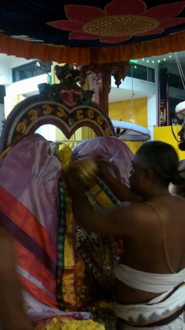 Mylapore SVDD Srinivasa Perumal Temple Peyazhwar Avathara Utsavam16