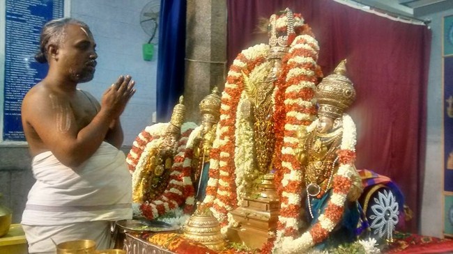 Mylapore SVDD Srinivasa Perumal Temple Peyazhwar Avathara Utsavam31