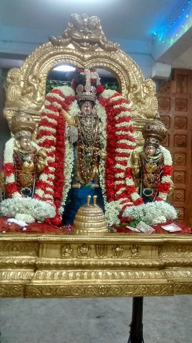 Mylapore SVDD Srinivasa Perumal Temple Peyazhwar Avathara Utsavam43