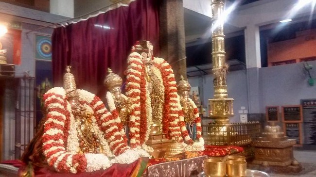Mylapore SVDD Srinivasa Perumal Temple Peyazhwar Avathara Utsavam52