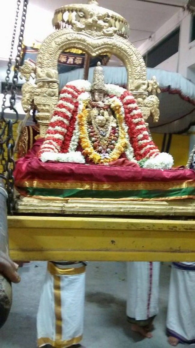 Mylapore SVDD Srinivasa Perumal Temple Peyazhwar Avathara Utsavam53
