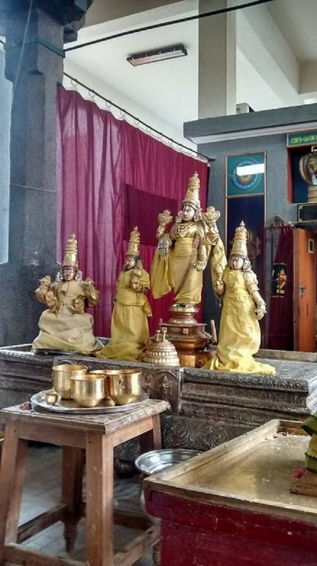 Mylapore SVDD Srinivasa Perumal Temple Peyazhwar Avathara Utsavam57