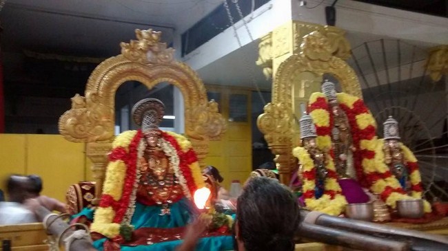 Mylapore SVDD Srinivasa Perumal Temple Sri Poigai Azhwar Thirunakshtra Utsavam14