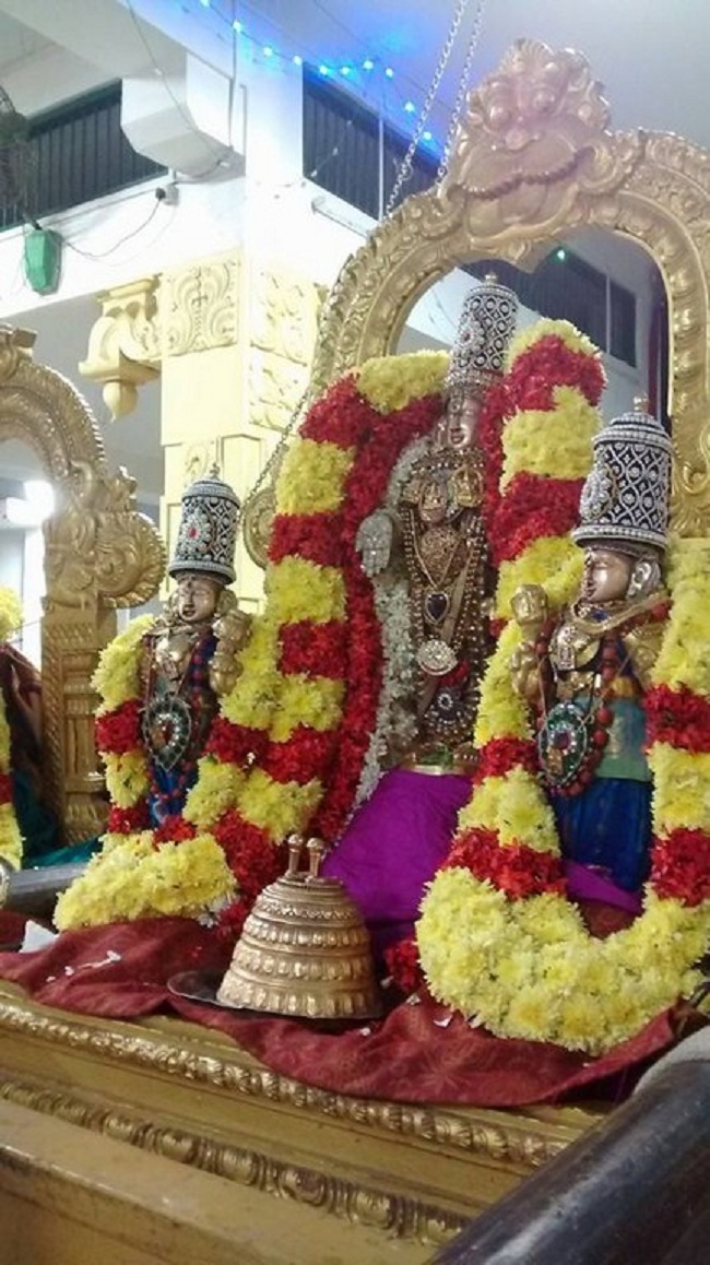 Mylapore SVDD Srinivasa Perumal Temple Sri Poigai Azhwar Thirunakshtra Utsavam28