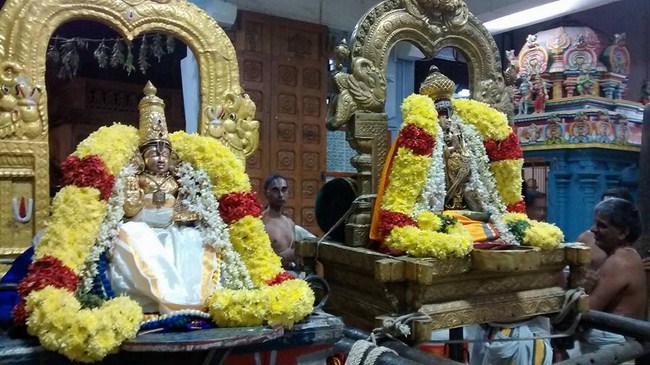 Mylapore SVDD Srinivasa Perumal Temple Sri Poigai Azhwar Thirunakshtra Utsavam35