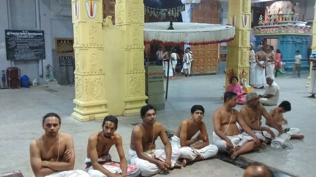 Mylapore SVDD Srinivasa Perumal Temple Sri Poigai Azhwar Thirunakshtra Utsavam37