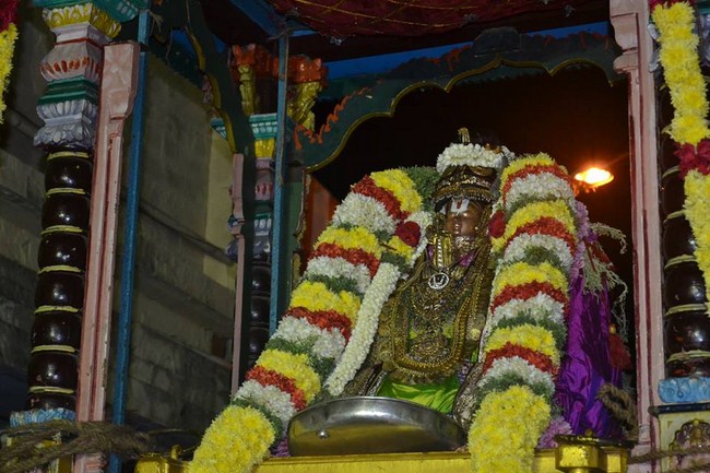 Mylapore Sri Adhikesava Perumal Temple Jaya Varusha Peyazhwar Avathara Utsavam1