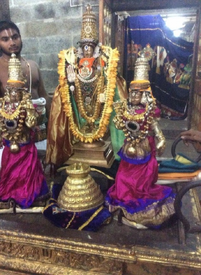 Mylapore Sri Adhikesava Perumal Temple Jaya Varusha Peyazhwar Avathara Utsavam10