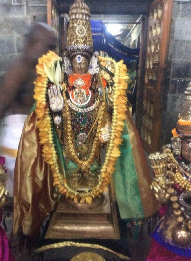 Mylapore Sri Adhikesava Perumal Temple Jaya Varusha Peyazhwar Avathara Utsavam15