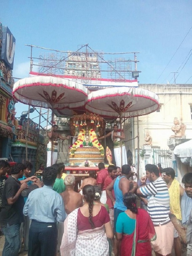 Mylapore Sri Adhikesava Perumal Temple Jaya Varusha Peyazhwar Avathara Utsavam16