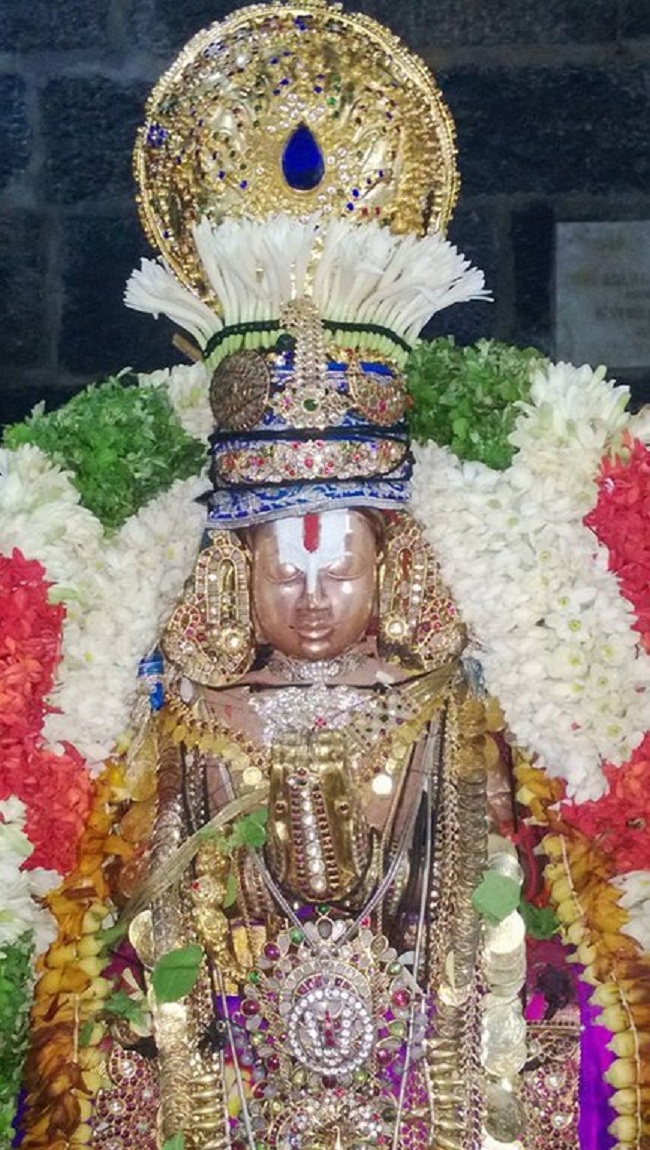 Mylapore Sri Adhikesava Perumal Temple Jaya Varusha Peyazhwar Avathara Utsavam24