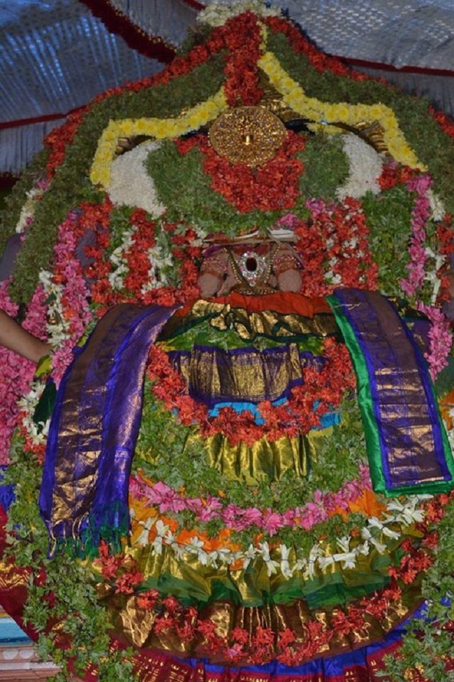 Mylapore Sri Adhikesava Perumal Temple Jaya Varusha Peyazhwar Avathara Utsavam25