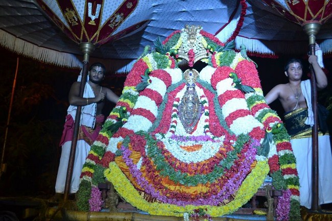 Mylapore Sri Adhikesava Perumal Temple Jaya Varusha Peyazhwar Avathara Utsavam44