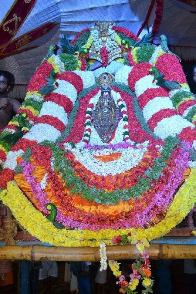 Mylapore Sri Adhikesava Perumal Temple Jaya Varusha Peyazhwar Avathara Utsavam51