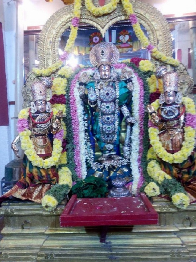 Mylapore Sri Madhava Perumal Temple Peyazhwar Avathara Utsavam11