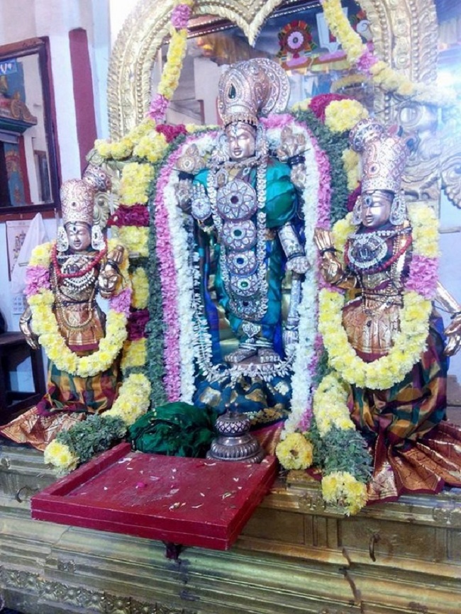Mylapore Sri Madhava Perumal Temple Peyazhwar Avathara Utsavam14