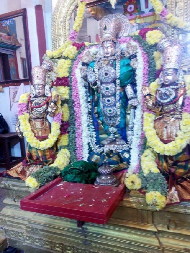 Mylapore Sri Madhava Perumal Temple Peyazhwar Avathara Utsavam7