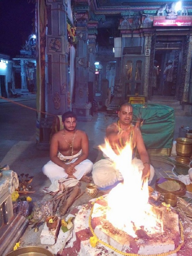 Nungambakkam Sri Prasanna Venkatesa Perumal Temple Pavithrotsavam Concludes3