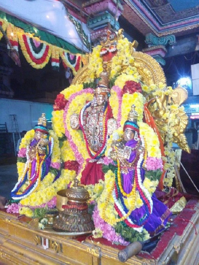 Nungambakkam Sri Prasanna Venkatesa Perumal Temple Pavithrotsavam Concludes4