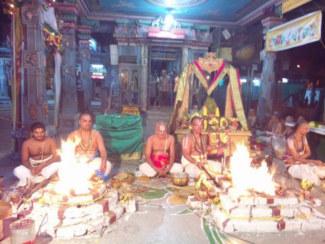 Nungambakkam Sri Prasanna Venkatesa Perumal Temple Pavithrotsavam Concludes5