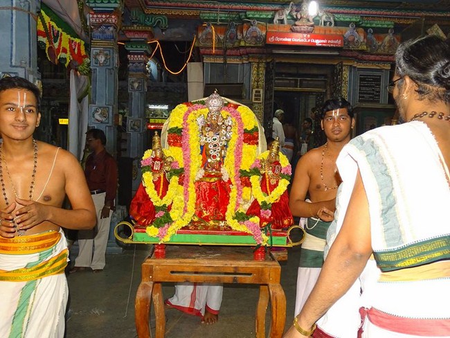 Nungambakkam Sri Prasanna Venkatesa Perumal Temple Pavithrotsavam1