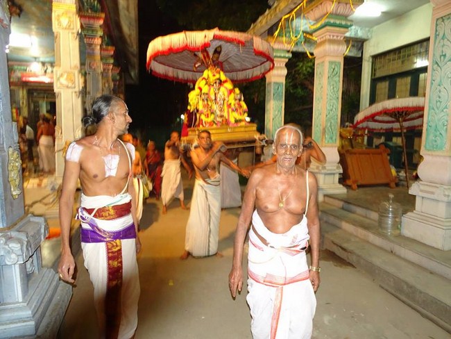 Nungambakkam Sri Prasanna Venkatesa Perumal Temple Pavithrotsavam7