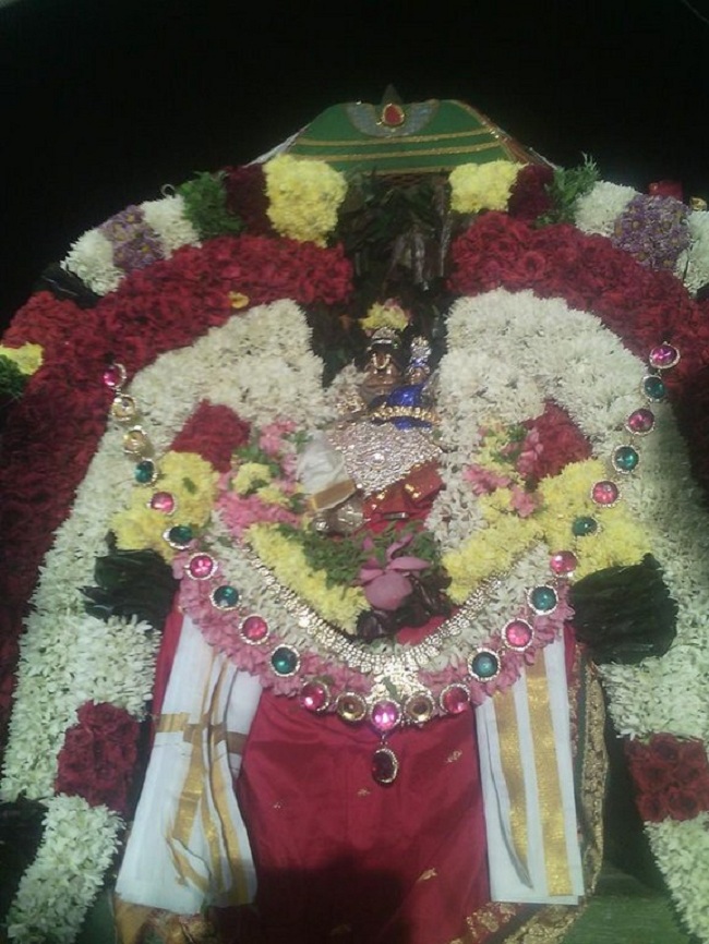 Parikkal Sri Lakshmi Narasimhaswami Temple  Karthikai  Swathi Utsavam3