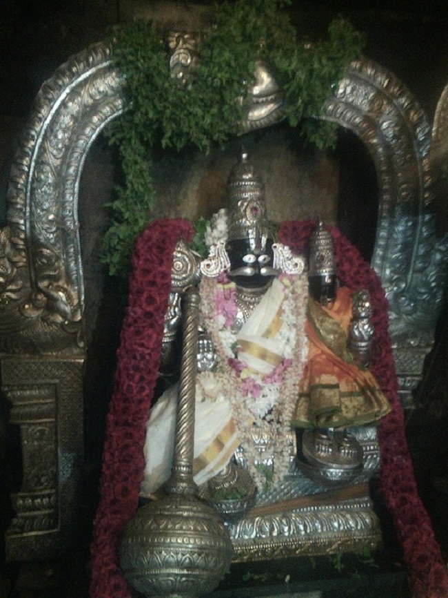 Parikkal Sri Lakshmi Narasimhaswami Temple  Karthikai  Swathi Utsavam8