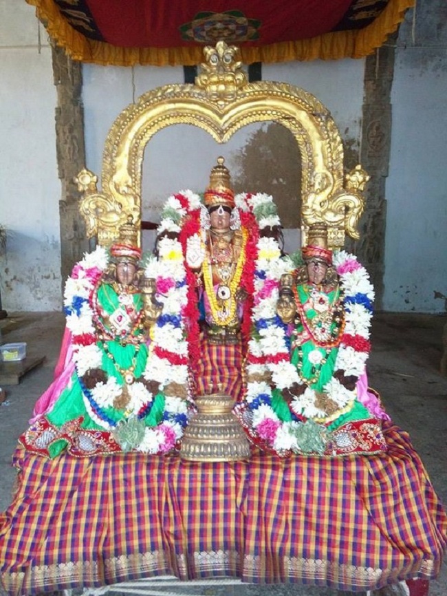 Puduvayal Sri Vijayaraghava Perumal Temple ThiruPavithrotsavam Maha Poornahuti7