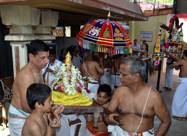 Pune Ahobila Mutt Sri Balaji Mandir Brahmotsavam Concludes 2014 27