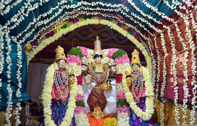 Pune Ahobila Mutt Sri Balaji Mandir Brahmotsavam Concludes Pushpa Pallaku 2014 4