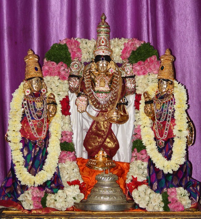 Pune Ahobila Mutt Sri Balaji Mandir Brahmotsavam Concludes Pushpa Pallaku 2014 8