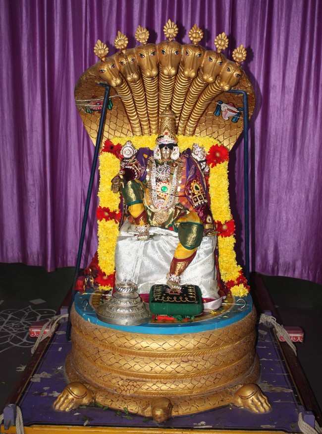Pune Sri Ahobila Mutt Sri Balaji Mandir Brahmotsavam day 5 & 6 2014 01