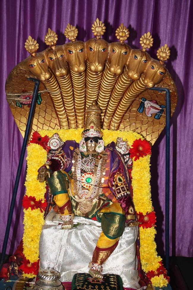 Pune Sri Ahobila Mutt Sri Balaji Mandir Brahmotsavam day 5 & 6 2014 02