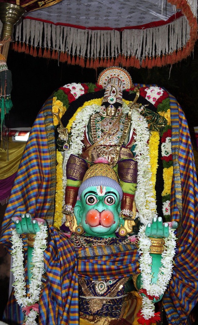 Pune Sri Ahobila Mutt Sri Balaji Mandir Brahmotsavam day 5 & 6 2014 06
