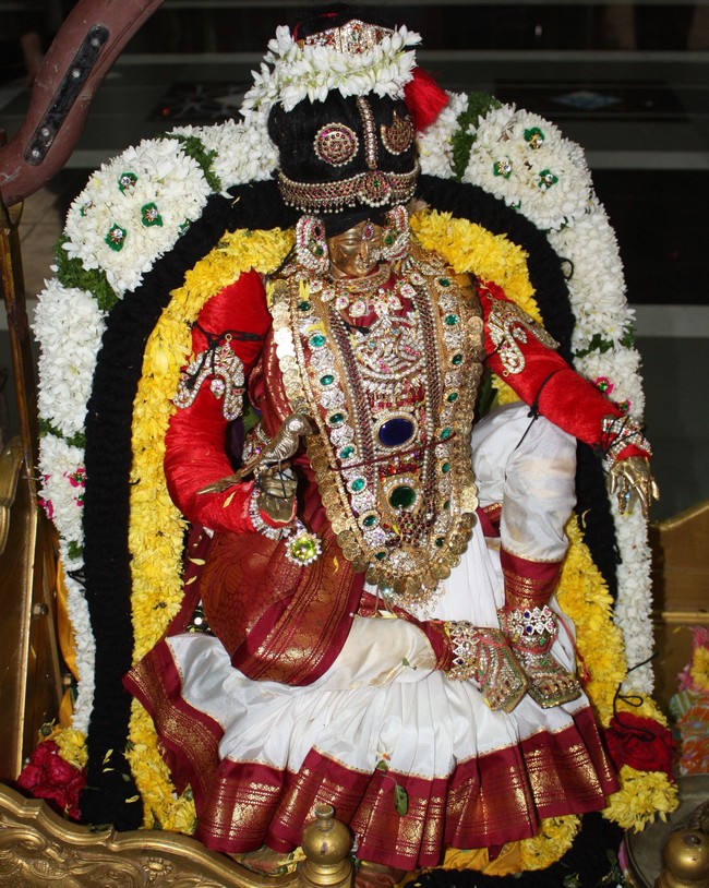 Pune Sri Ahobila Mutt Sri Balaji Mandir Brahmotsavam day 5 & 6 2014 10