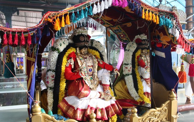 Pune Sri Ahobila Mutt Sri Balaji Mandir Brahmotsavam day 5 & 6 2014 12