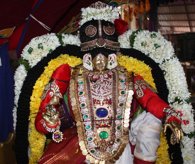 Pune Sri Ahobila Mutt Sri Balaji Mandir Brahmotsavam day 5 & 6 2014 14