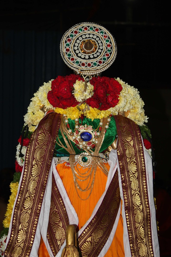 Pune Sri Ahobila Mutt Sri Balaji Mandir Brahmotsavam day 5 & 6 2014 20